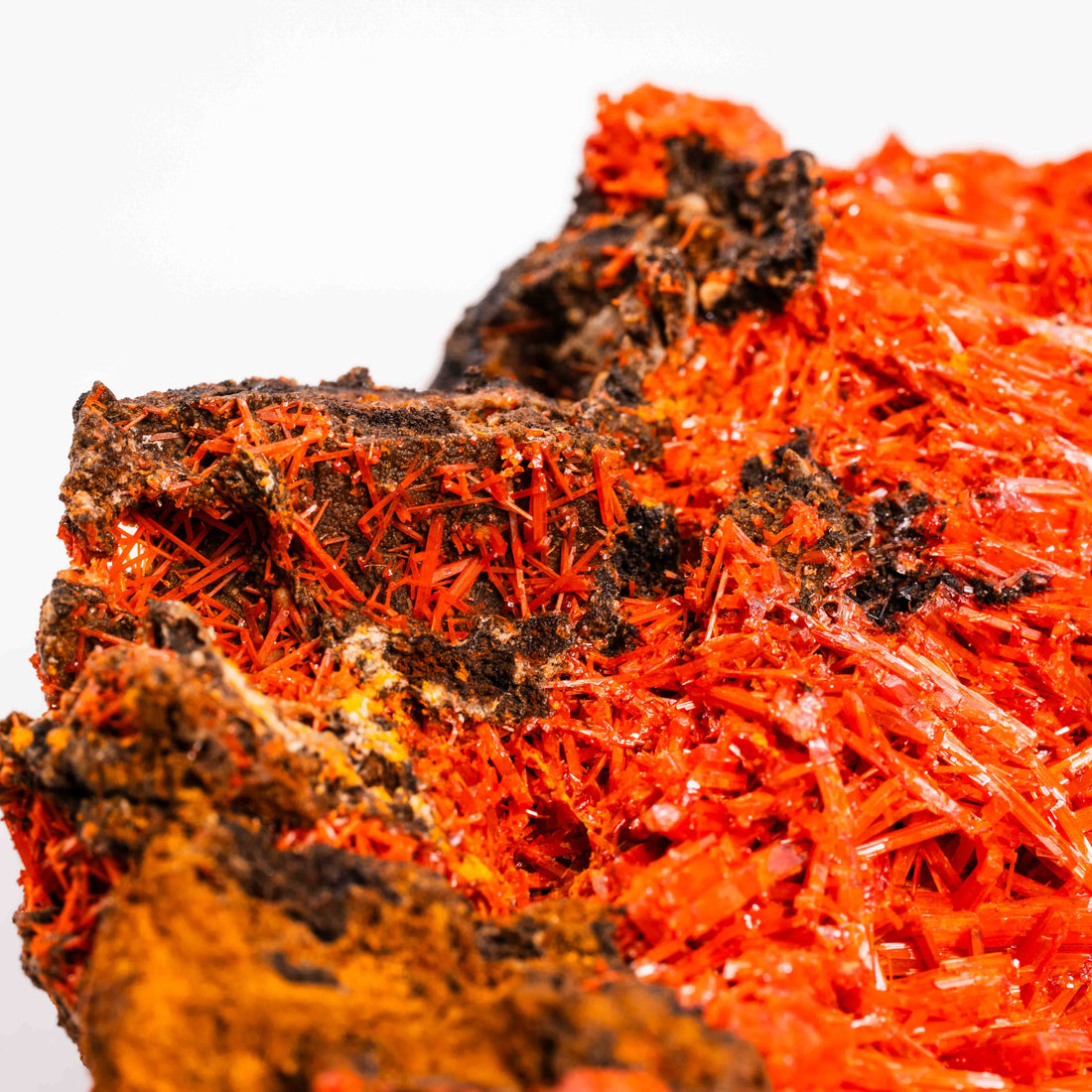 Crocoite- Cluster