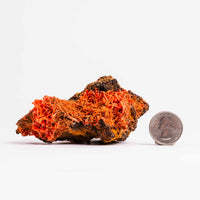 Crocoite- Cluster