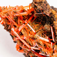 Crocoite- Cluster
