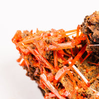 Crocoite- Cluster