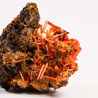 Crocoite- Cluster