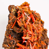 Crocoite- Cluster