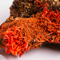 Crocoite- Cluster