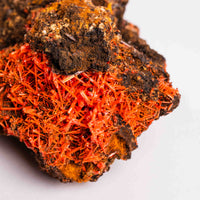 Crocoite- Cluster