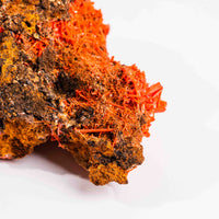 Crocoite- Cluster