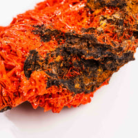 Crocoite- Cluster