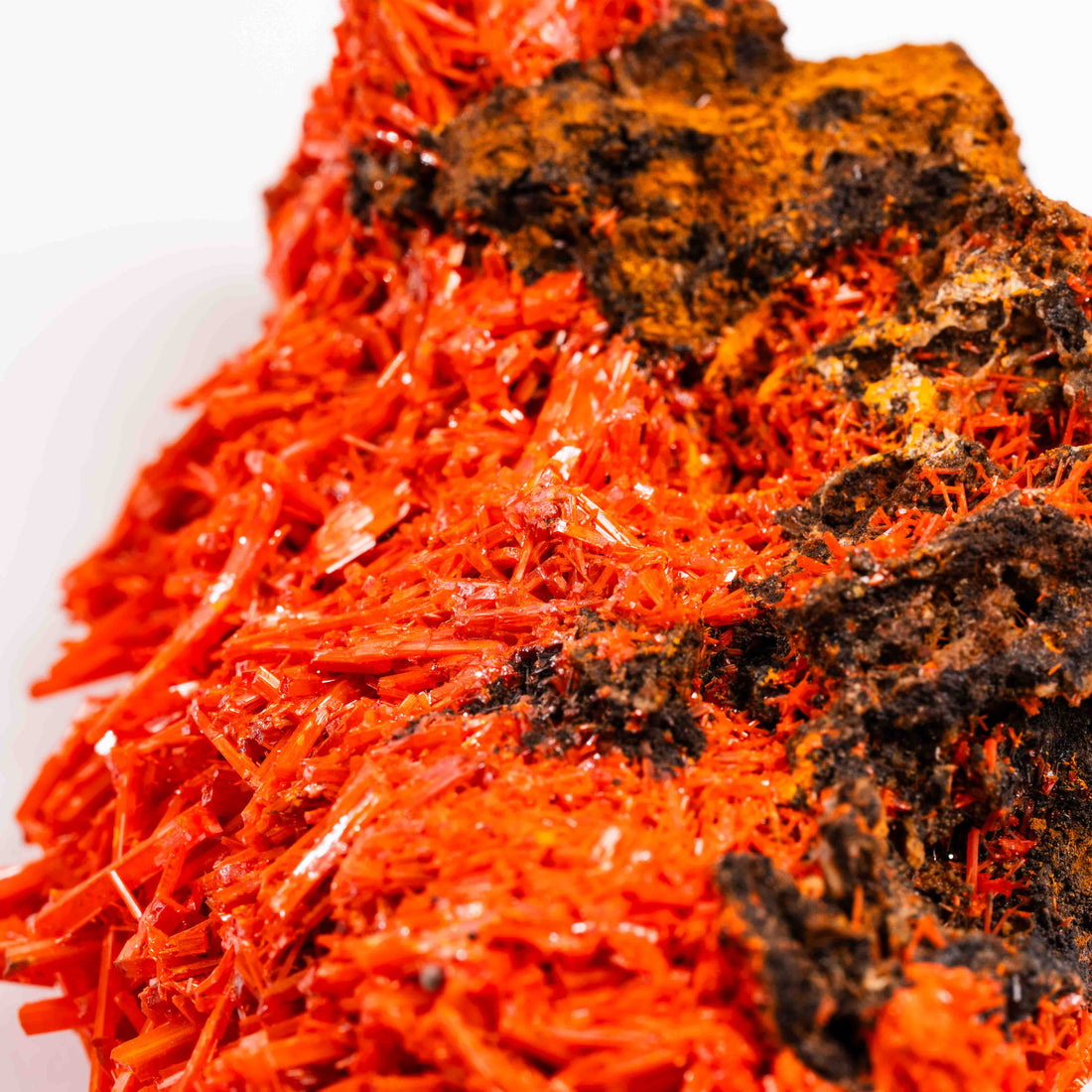 Crocoite- Cluster