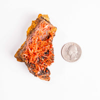 Crocoite- Cluster