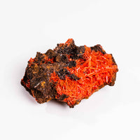 Crocoite- Cluster