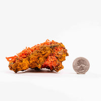Crocoite- Cluster