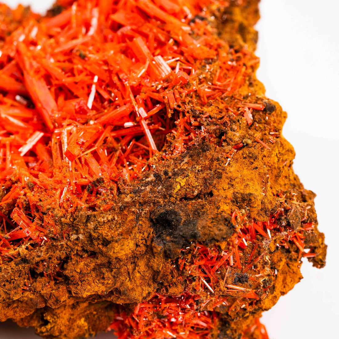Crocoite- Cluster