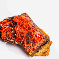 Crocoite- Cluster