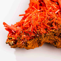 Crocoite- Cluster