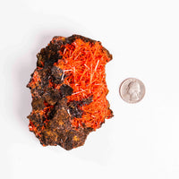 Crocoite- Cluster