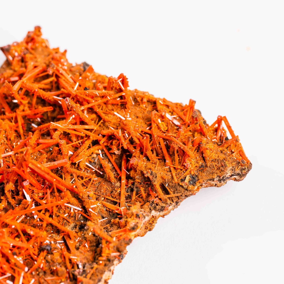 Crocoite- Cluster
