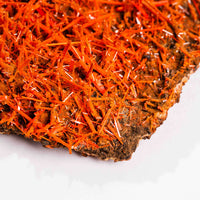 Crocoite- Cluster
