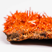 Crocoite- Cluster