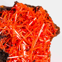 Crocoite- Cluster