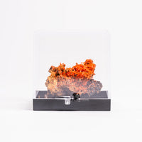 Crocoite- Cluster