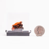 Crocoite- Cluster