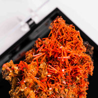 Crocoite- Cluster