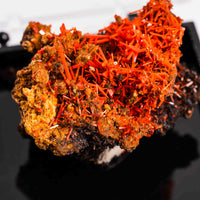 Crocoite- Cluster