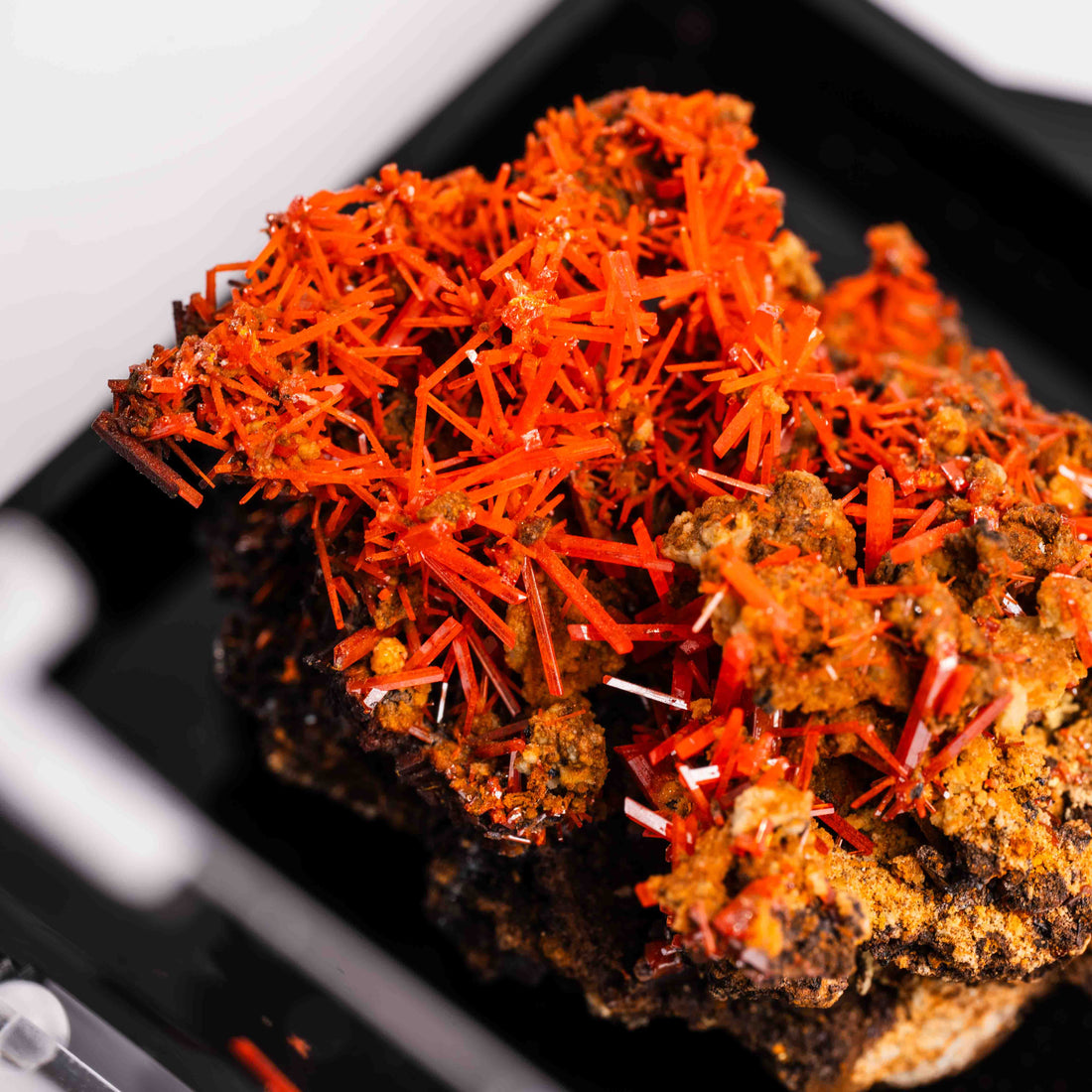 Crocoite- Cluster