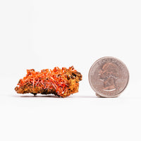Crocoite- Cluster