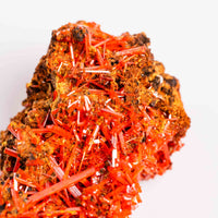 Crocoite- Cluster