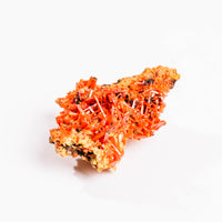 Crocoite- Cluster