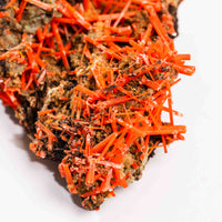 Crocoite- Cluster