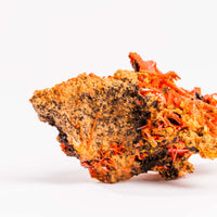 Crocoite- Cluster