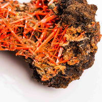 Crocoite- Cluster