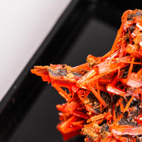 Crocoite- Cluster