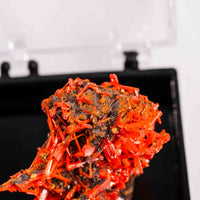 Crocoite- Cluster