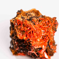 Crocoite- Cluster