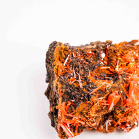 Crocoite- Cluster