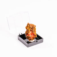 Crocoite- Cluster