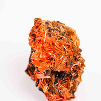 Crocoite- Cluster