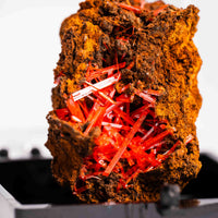 Crocoite- Cluster