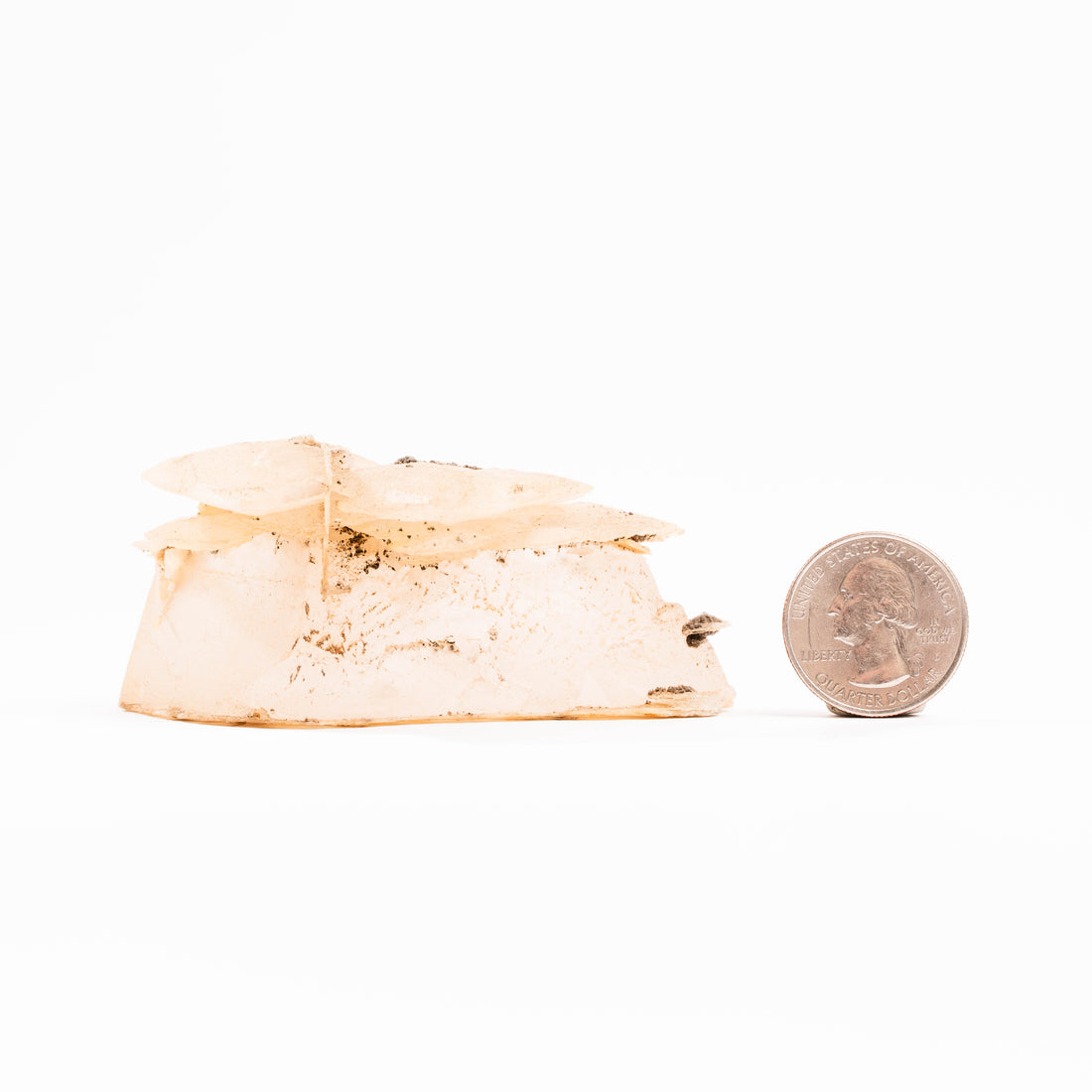 Dalnegorsk Quartz