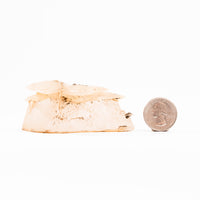 Dalnegorsk Quartz
