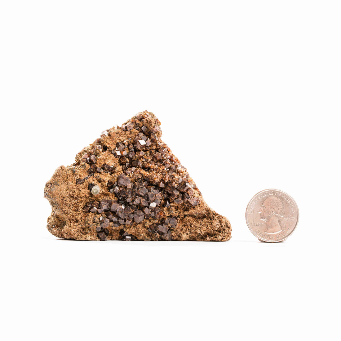 Dalnegorsk Garnet and Quartz on Matrix