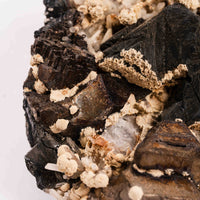 Dalnegorsk Andradite Garnet on Matrix