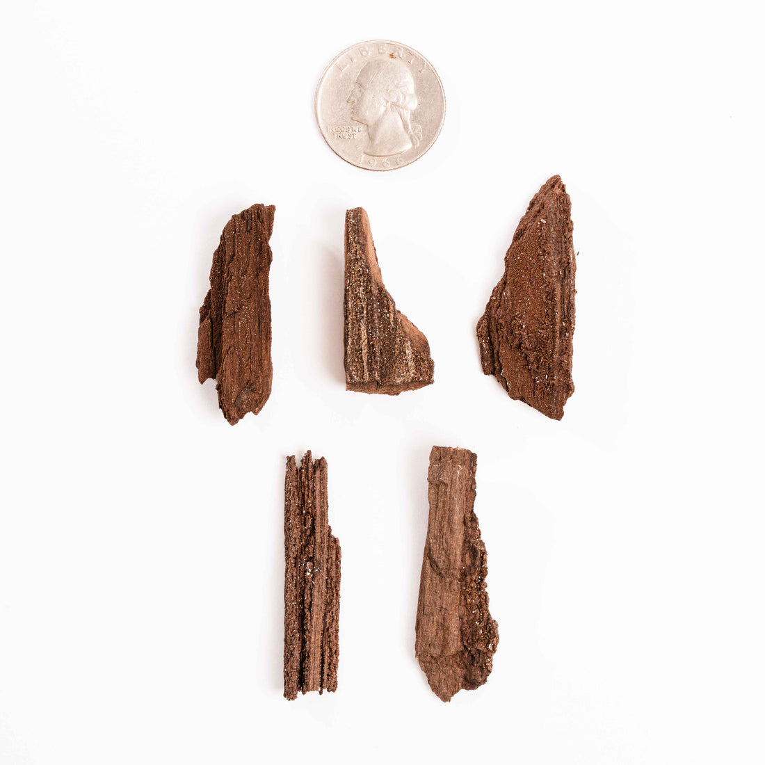 German Fairy Wood - Rough, Intuitive Pick