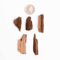 German Fairy Wood - Rough, Intuitive Pick