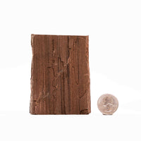 German Fairy Wood - Rough