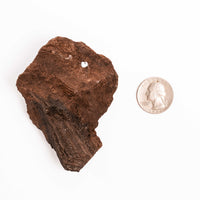 German Fairy Wood - Rough