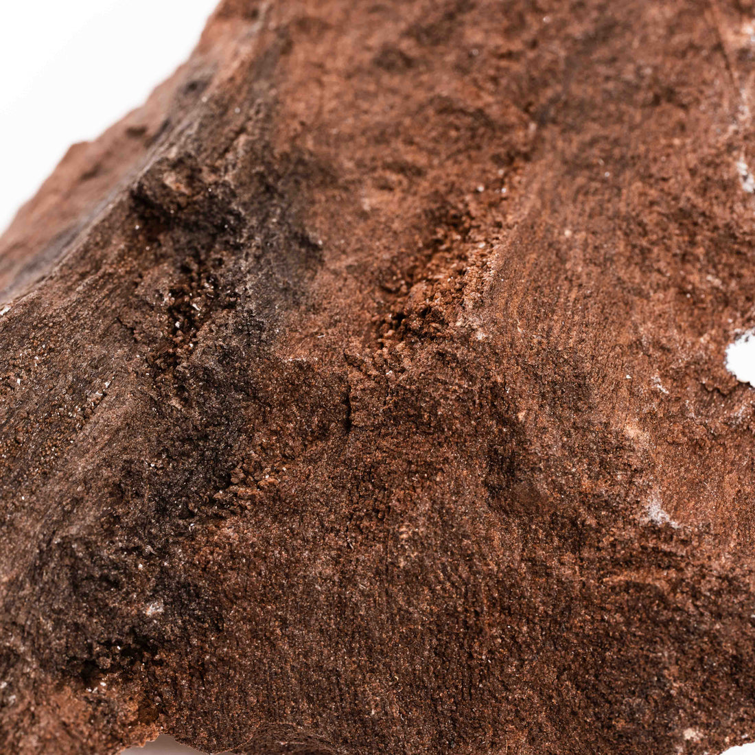 German Fairy Wood - Rough