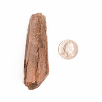 German Fairy Wood - Rough